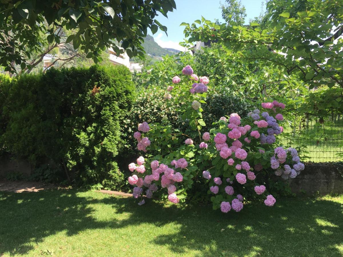 Apartment Villa Huber Bozen Buitenkant foto
